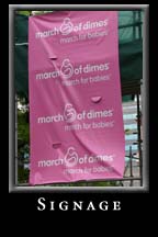 March of Dimes Walk America 2008