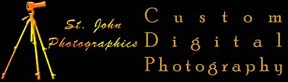 St. John Photographics Custom Digital Photography and Design Washington, D.C.; Atlanta, GA