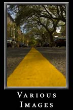 Views of Charleston, South Carolina.